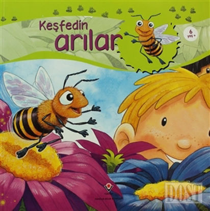 Keşfedin - Arılar